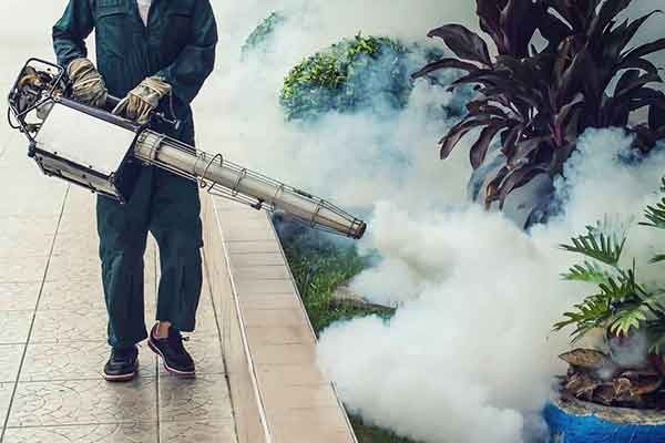 fumigation pest control services